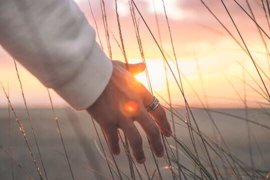 Testamentary Trust Wills